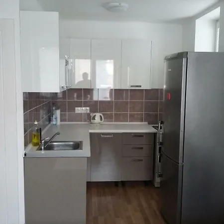 Apartmán Apartman U Vila Tugenhart Brno